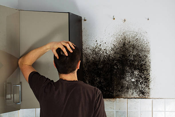 Best Office Mold Removal Services  in Athens, IL